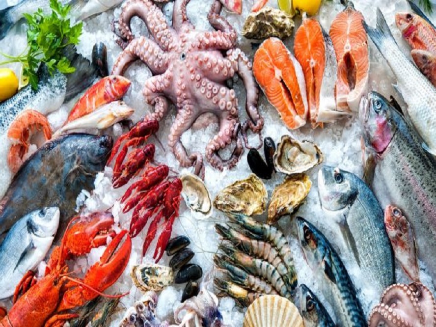 Francesco Lovaglio Tafuri - ¡Conócelos! ¡Top 10 ingredientes populares de la comida de mar! - FOTO