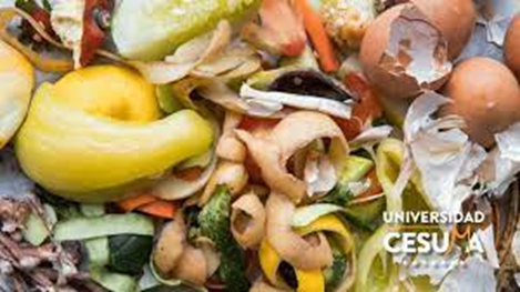 Cómo Reducir el Desperdicio de Alimentos y Contribuir a la Seguridad Alimentaria
