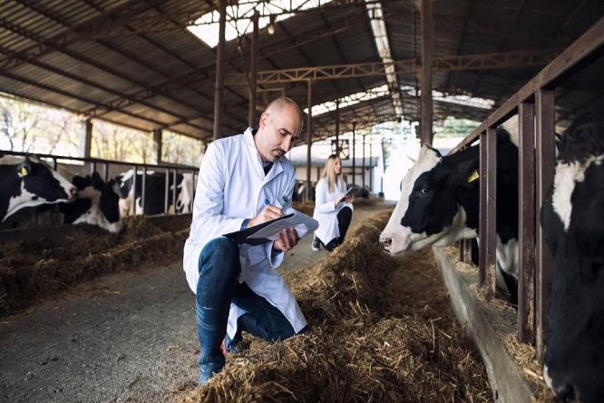 Juan Fernando Serrano Ponce - ¡Entérate! El Papel Fundamental de los Veterinarios en la Ganadería - FOTO