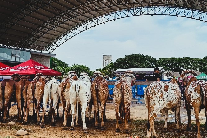 Juan Fernando Serrano Ponce - ¡Entérate! Ferias y Exposiciones Ganaderas ¡Impulsando Razas y Productos Locales! - FOTO