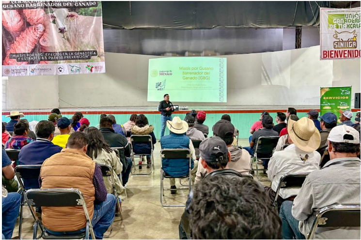 Qué Estrategias de Capacitación son Más Efectivas para los Ganaderos