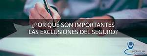 Qué Exclusiones Debo Tener en Cuenta al Elegir un Seguro