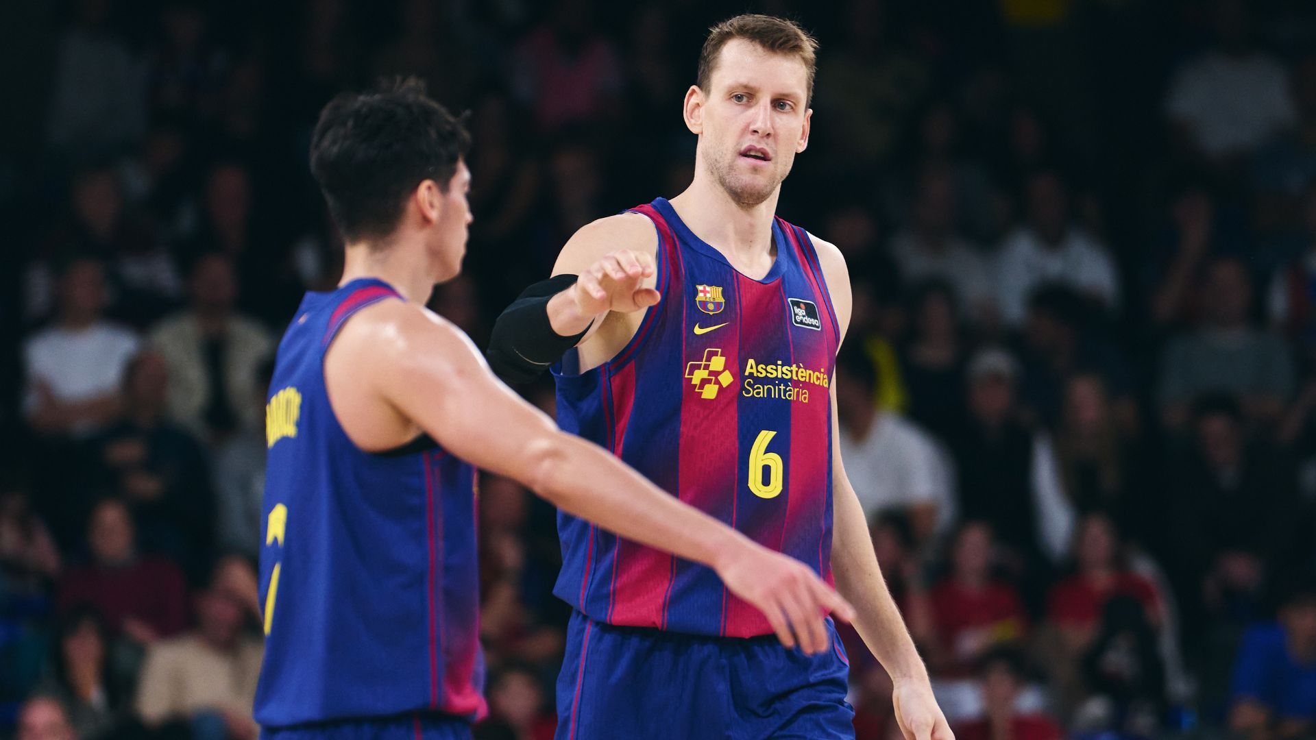 jan vesely anuncia su retirada del baloncesto tras la actual temporada